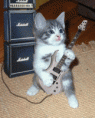 /album/fotogalerij/gitaar-gif/
